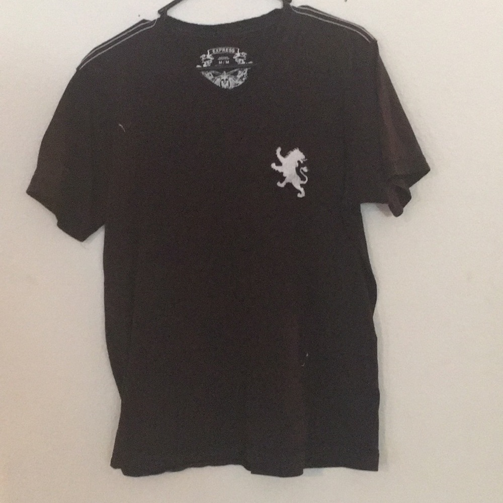 Men’s medium express vneck T-shirt